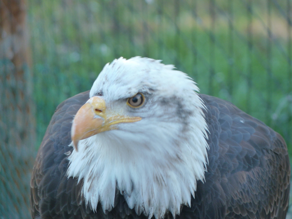 No s'ha trobat l'arxiu